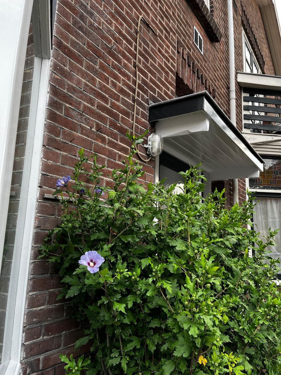 Foto 41 van Prins Hendrikstraat 132