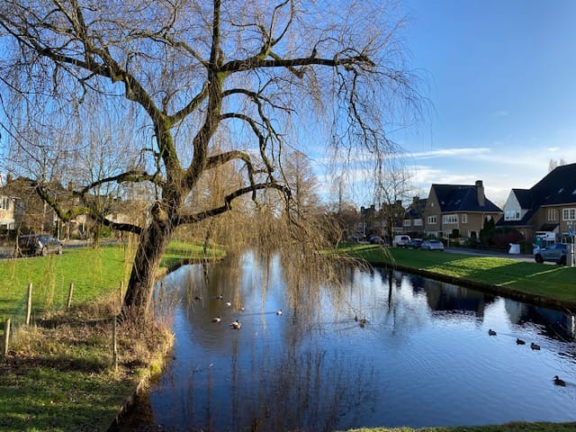 Foto 39 van Juliana van Stolberglaan 9