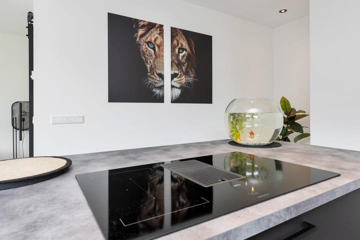 Foto 29 van Bolle Akker 28