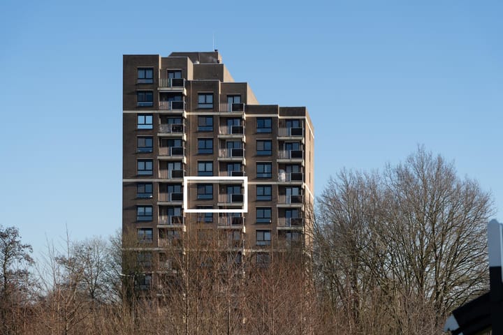 Foto 1 van Lodewijkdonk 40