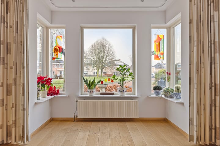 Foto 8 van Willem Lodewijkhof 54