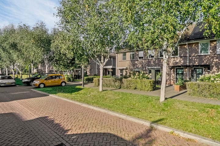 Foto 3 van Tuinboog 6