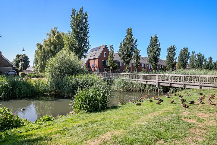 Foto 28 van Tuinboog 6