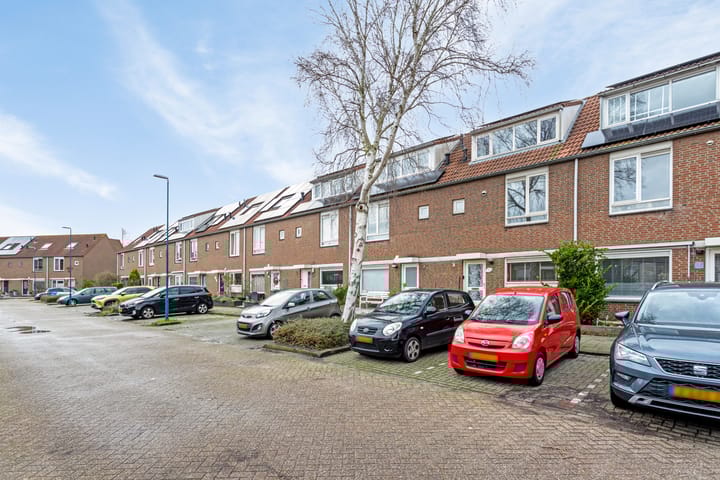 Foto 29 van Nevelgrijs 5