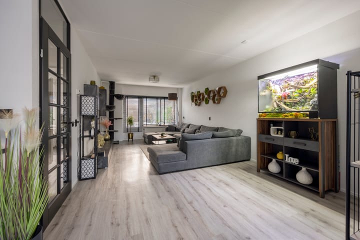 Foto 7 van Kompas 24