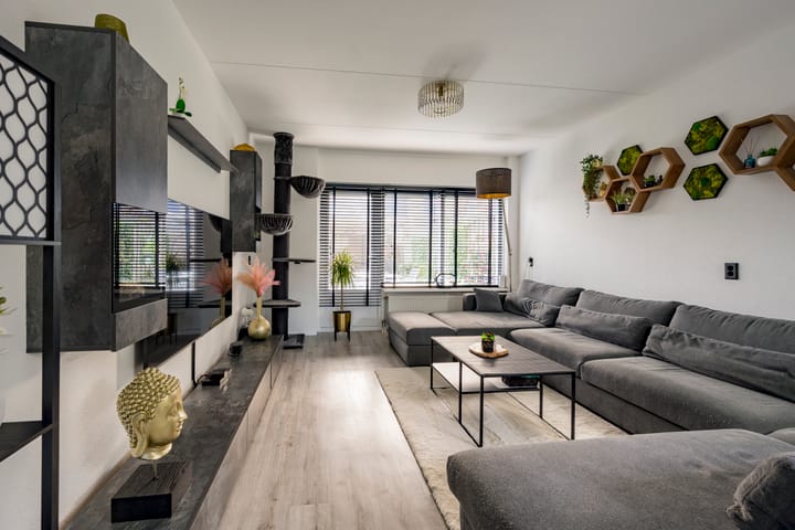 Foto 8 van Kompas 24