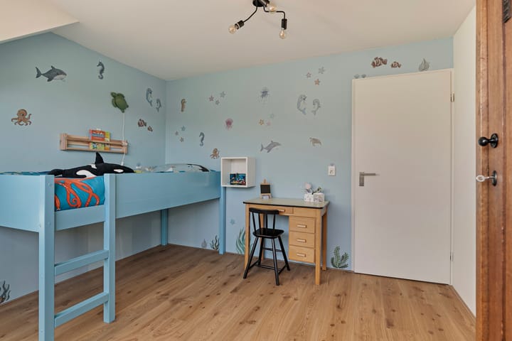 Foto 29 van Reijmerinkstraat 44