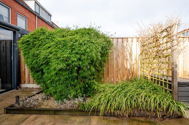 Foto 38 van Adrienne Solserstraat 45