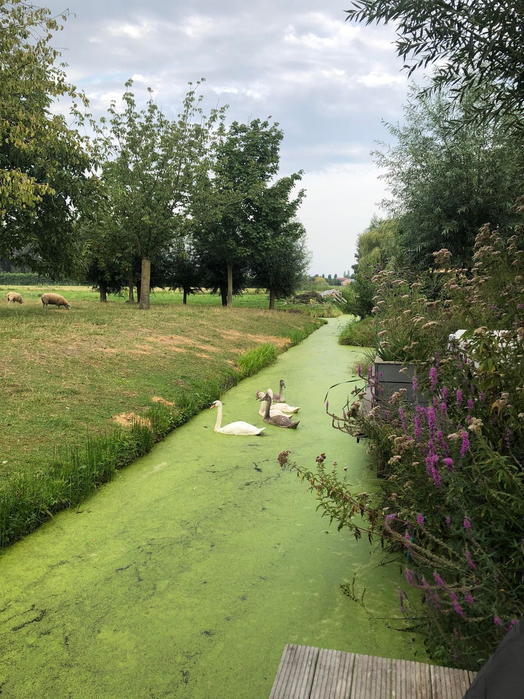 Foto 46 van Hof van Batuwe 7