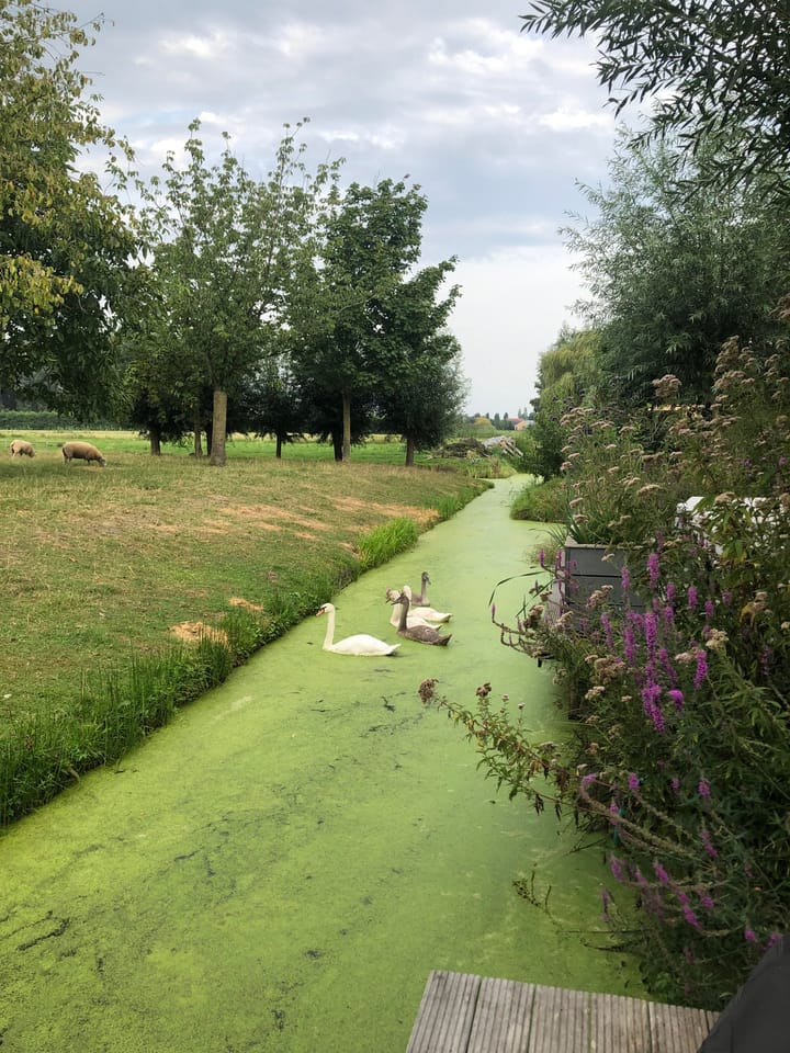 Photo 46 of Hof van Batuwe 7