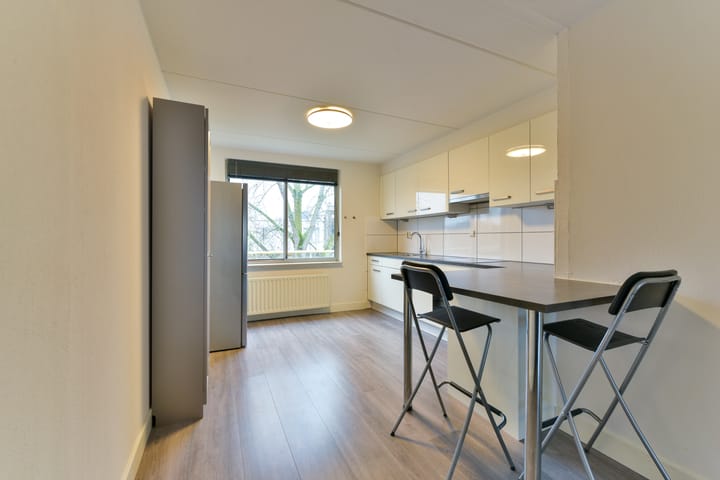 Foto 4 van Arthur van Schendelstraat 209