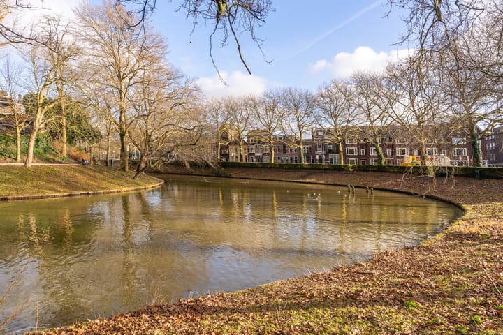 Foto 31 van Arthur van Schendelstraat 209