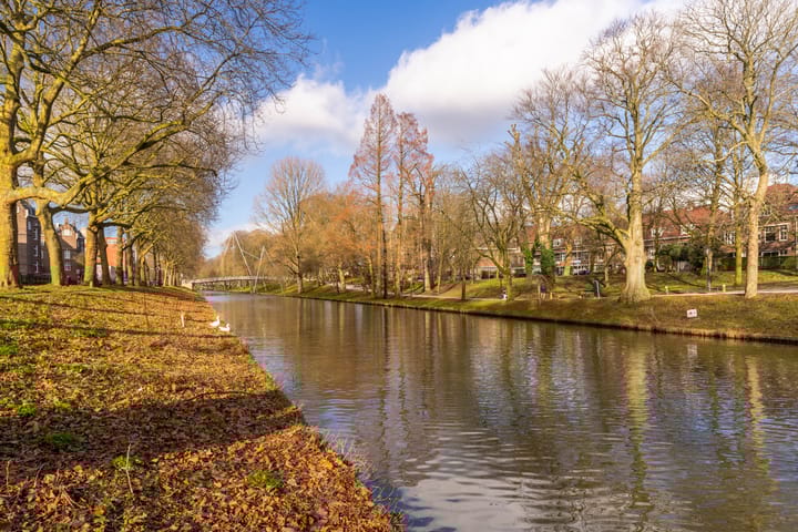 Foto 32 van Arthur van Schendelstraat 209