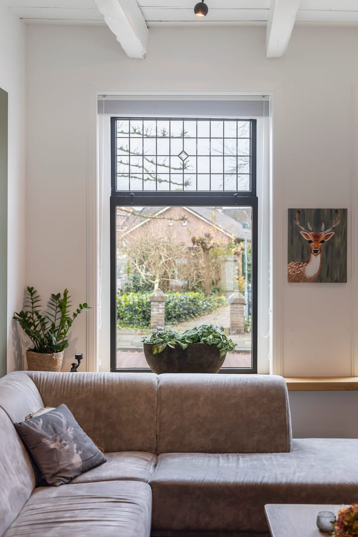 Foto 14 van Molenstraat 15