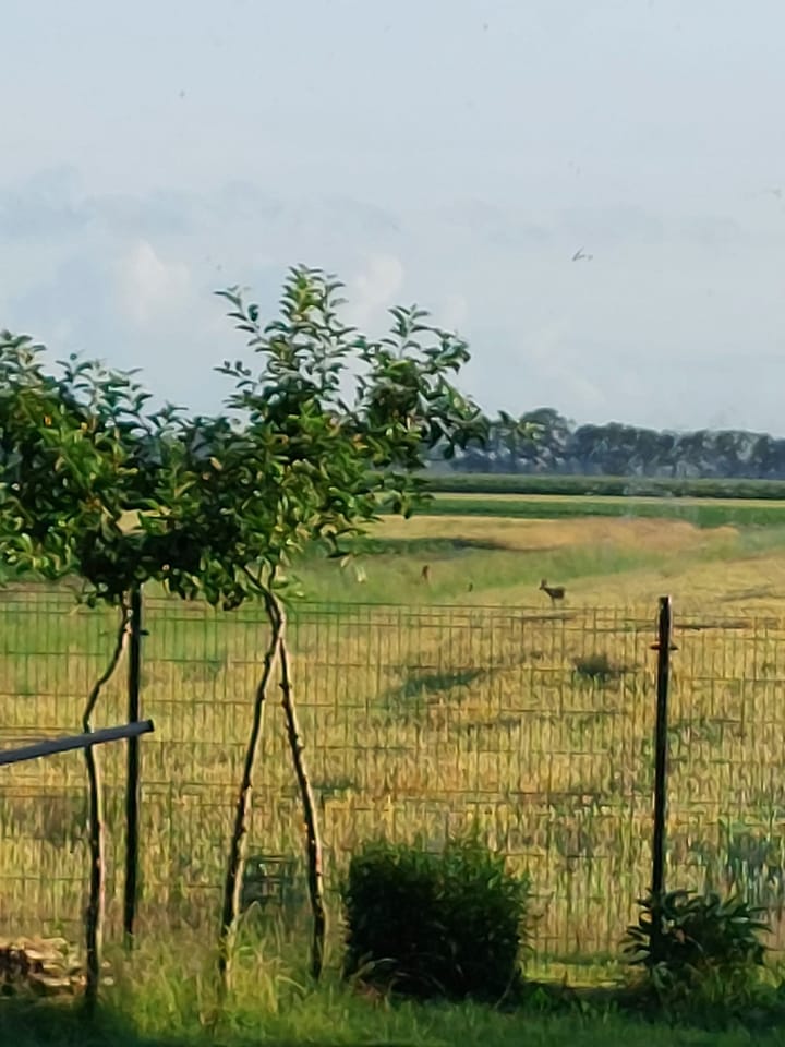 Foto 53 van Baarloseweg 19-A