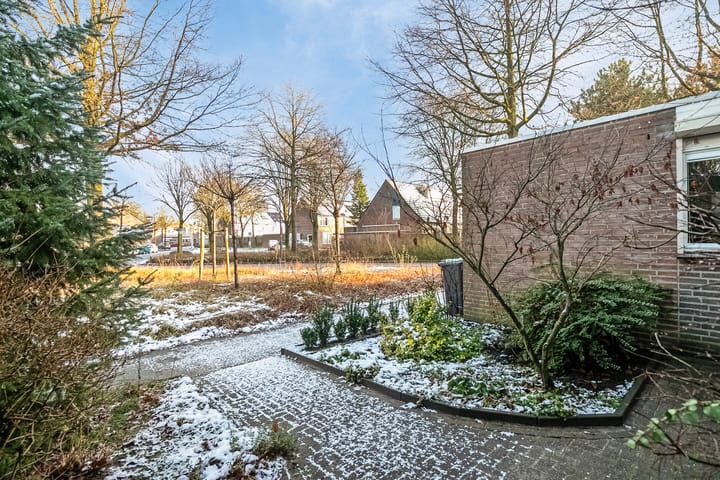 Foto 8 van Spinsterhof 3