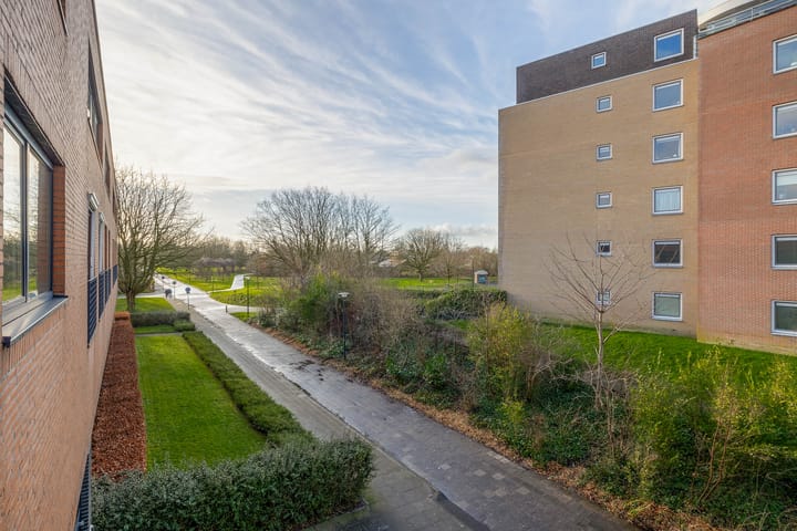 Foto 35 van Kiryat-Onoplein 103