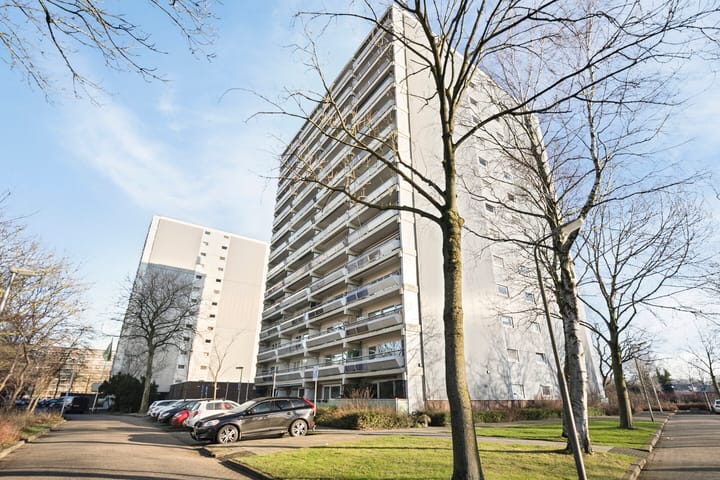 Foto 2 van De Roerdomp 42