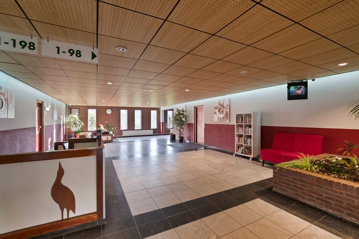 Foto 3 van De Roerdomp 42