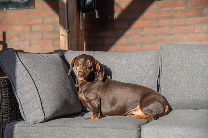 Photo 36 of Gerestein 35