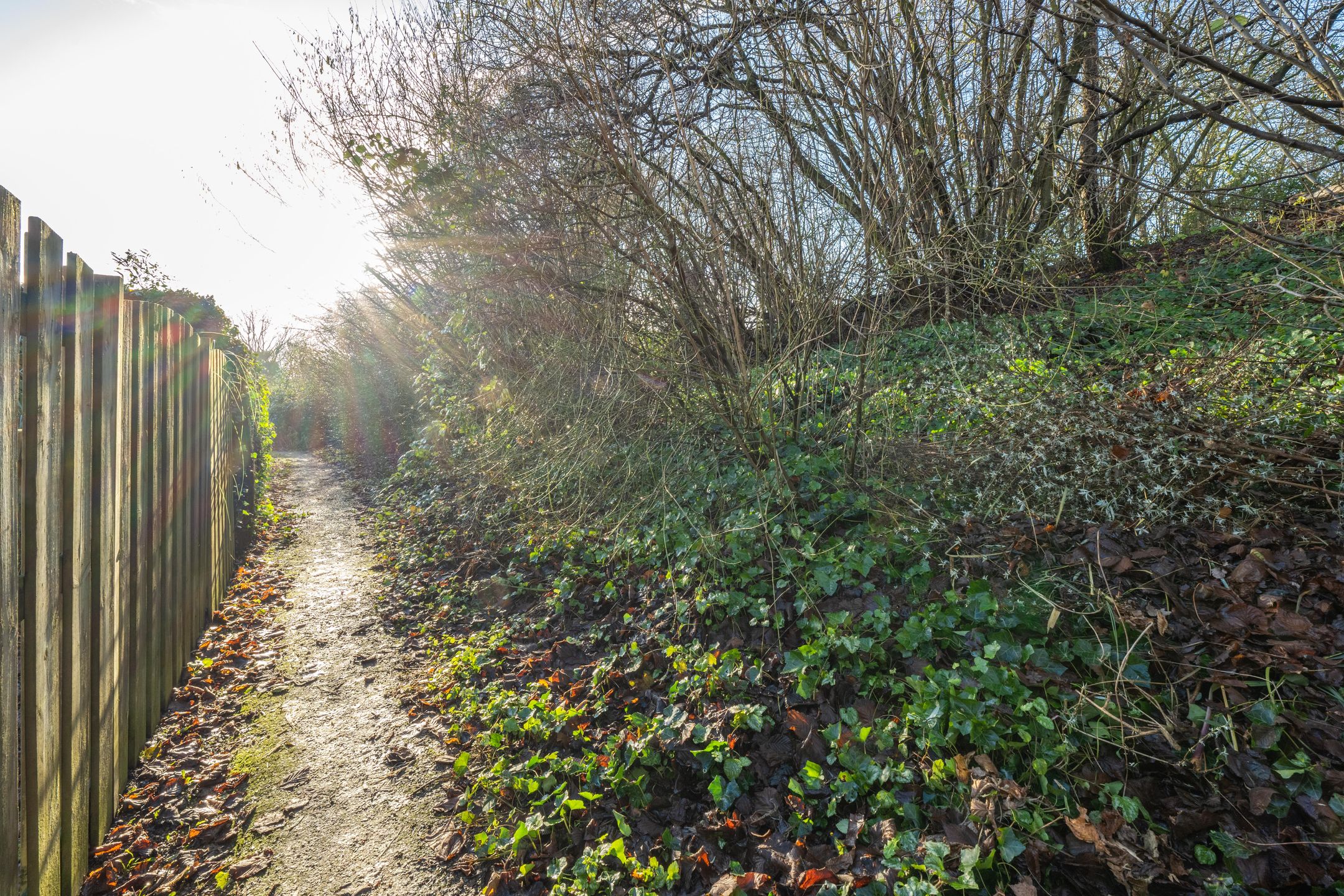 Photo 42 of Gerestein 35