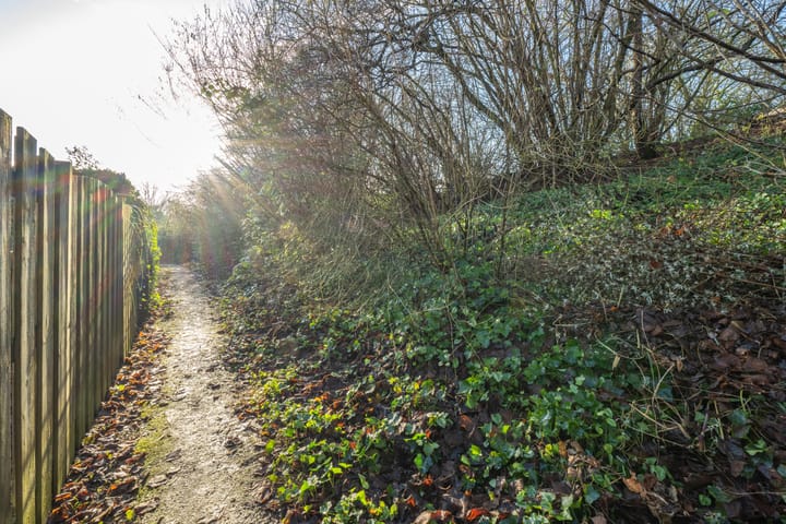 Photo 42 of Gerestein 35