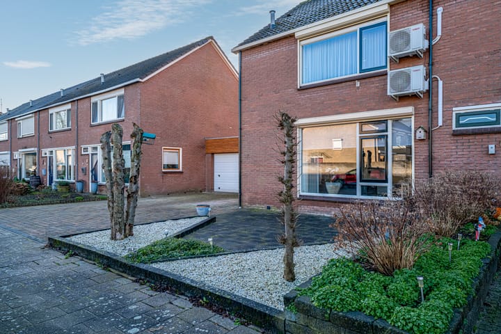 Foto 6 van De Olmen 48