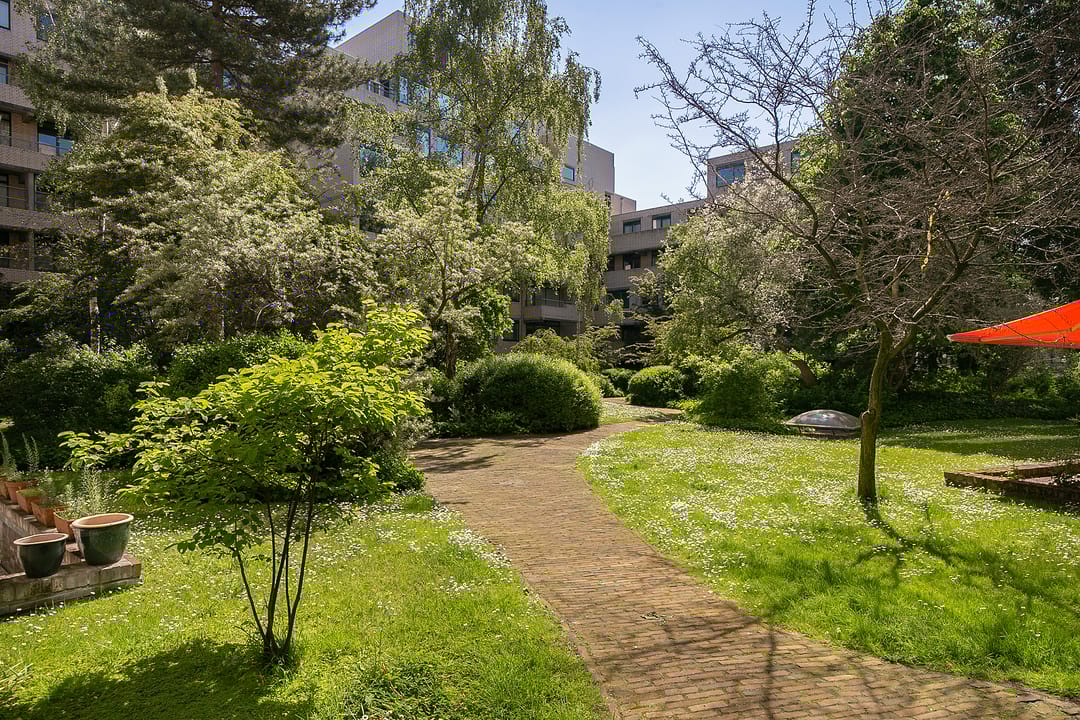 Foto 31 van Burgemeester Patijnlaan 238