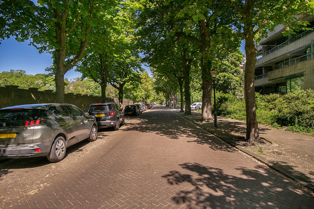 Foto 32 van Burgemeester Patijnlaan 238