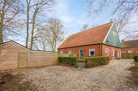 undefined main image