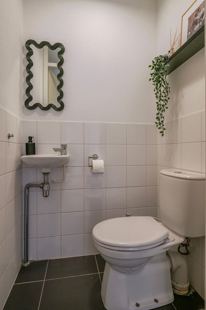 Foto 9 van Grashoen 90