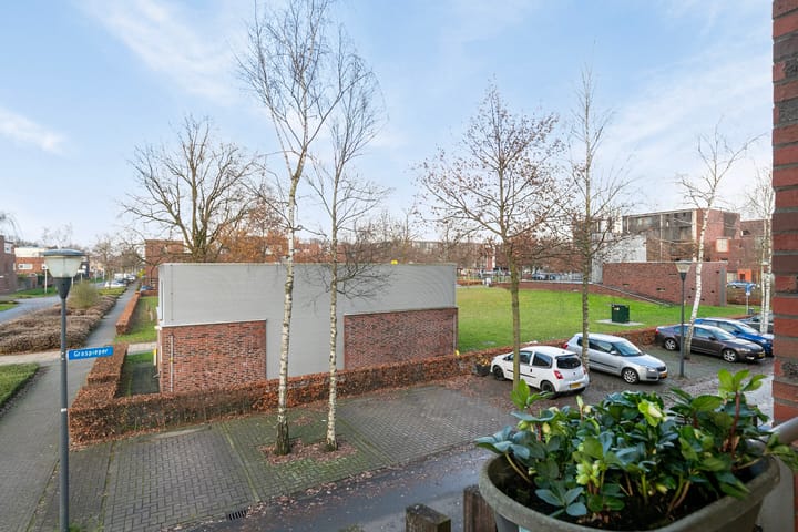 Foto 30 van Grashoen 90