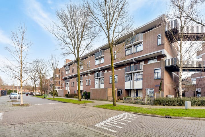 Foto 29 van Hollandsch Diep 241