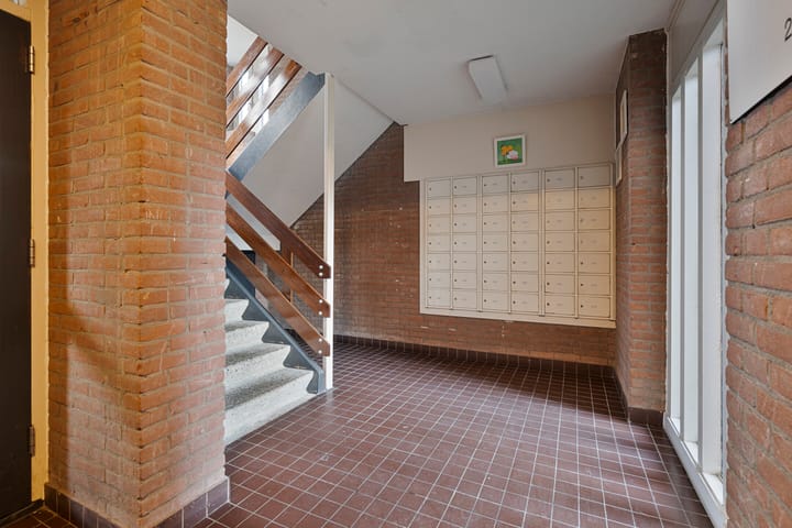 Foto 37 van Hollandsch Diep 241