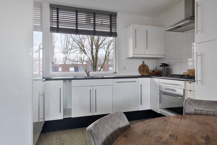 Foto 8 van Hollandsch Diep 241