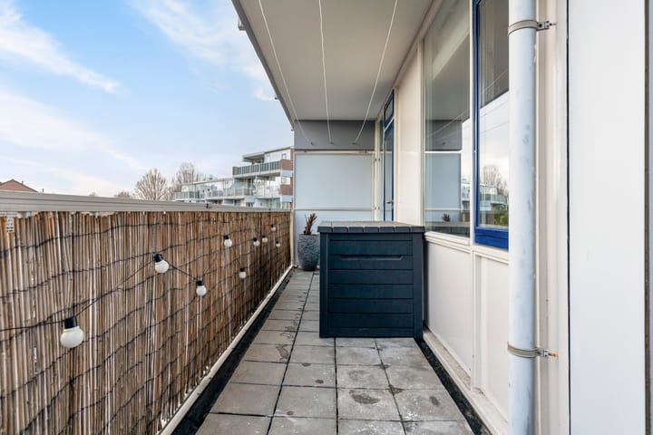 Foto 26 van Hollandsch Diep 241