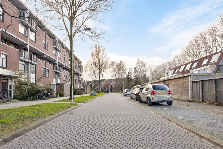 Foto 32 van Hollandsch Diep 241