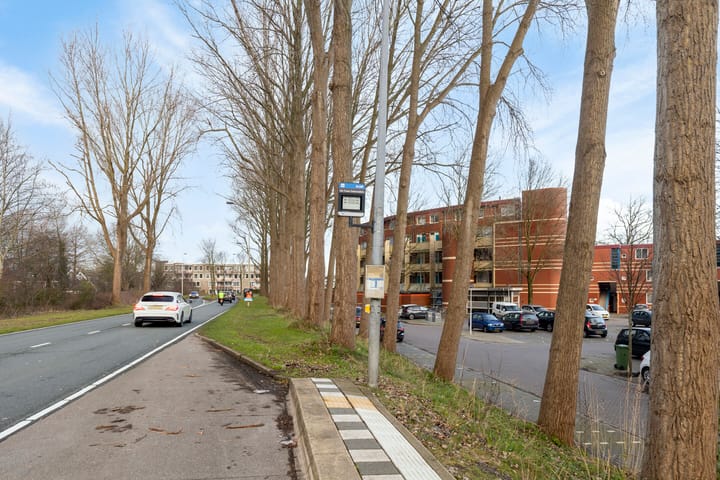 Foto 39 van Hollandsch Diep 241