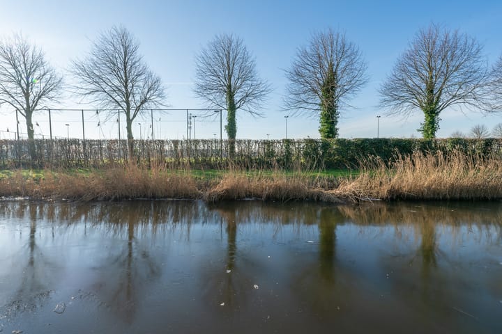 Foto 50 van Anna van Bossetuin 38