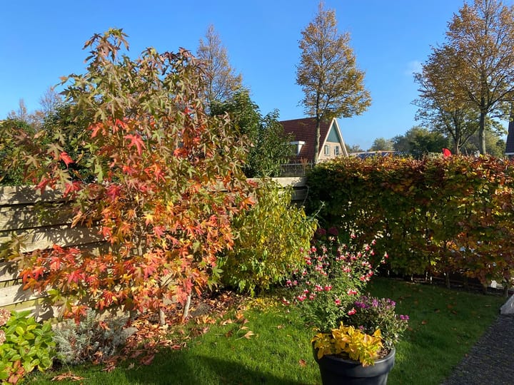 Photo 51 of Langeweide 37