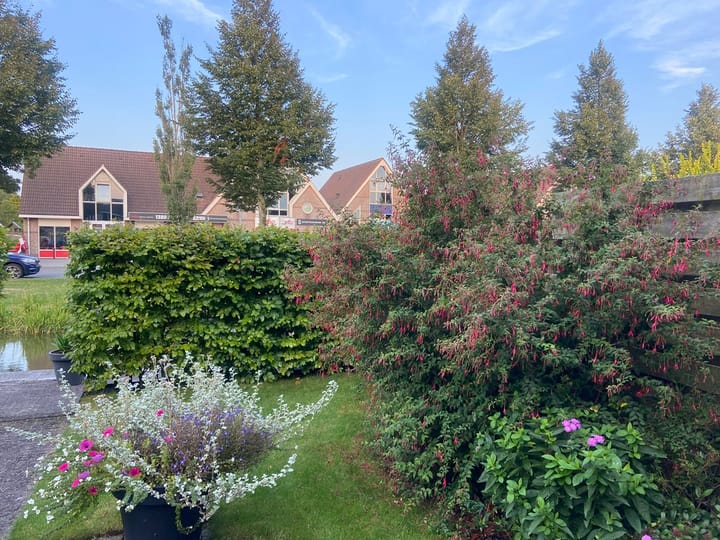 Photo 52 of Langeweide 37