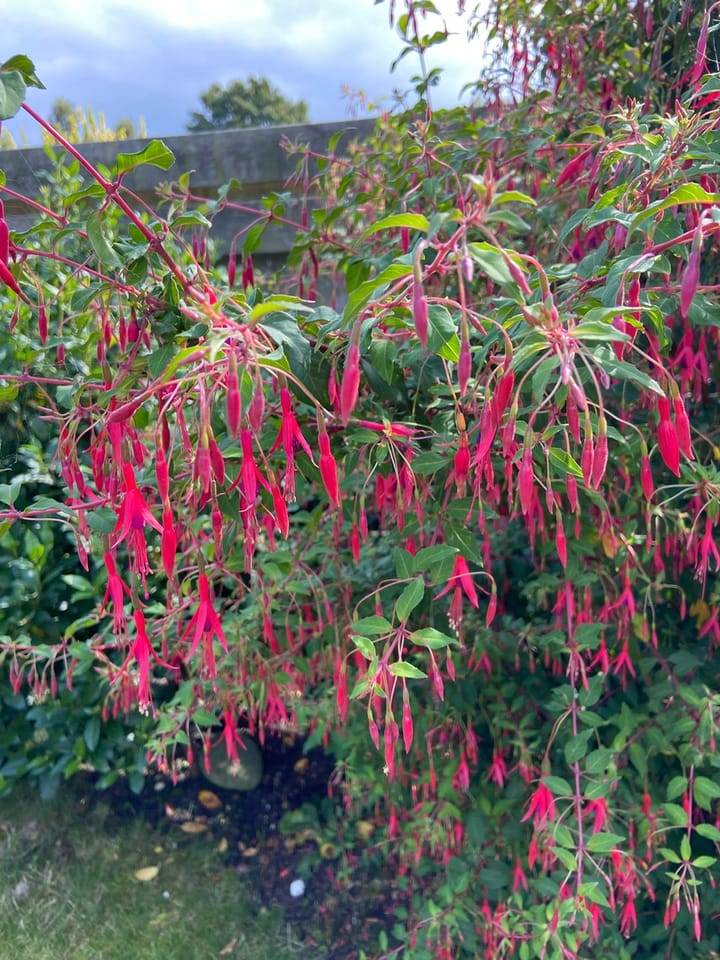 Photo 53 of Langeweide 37