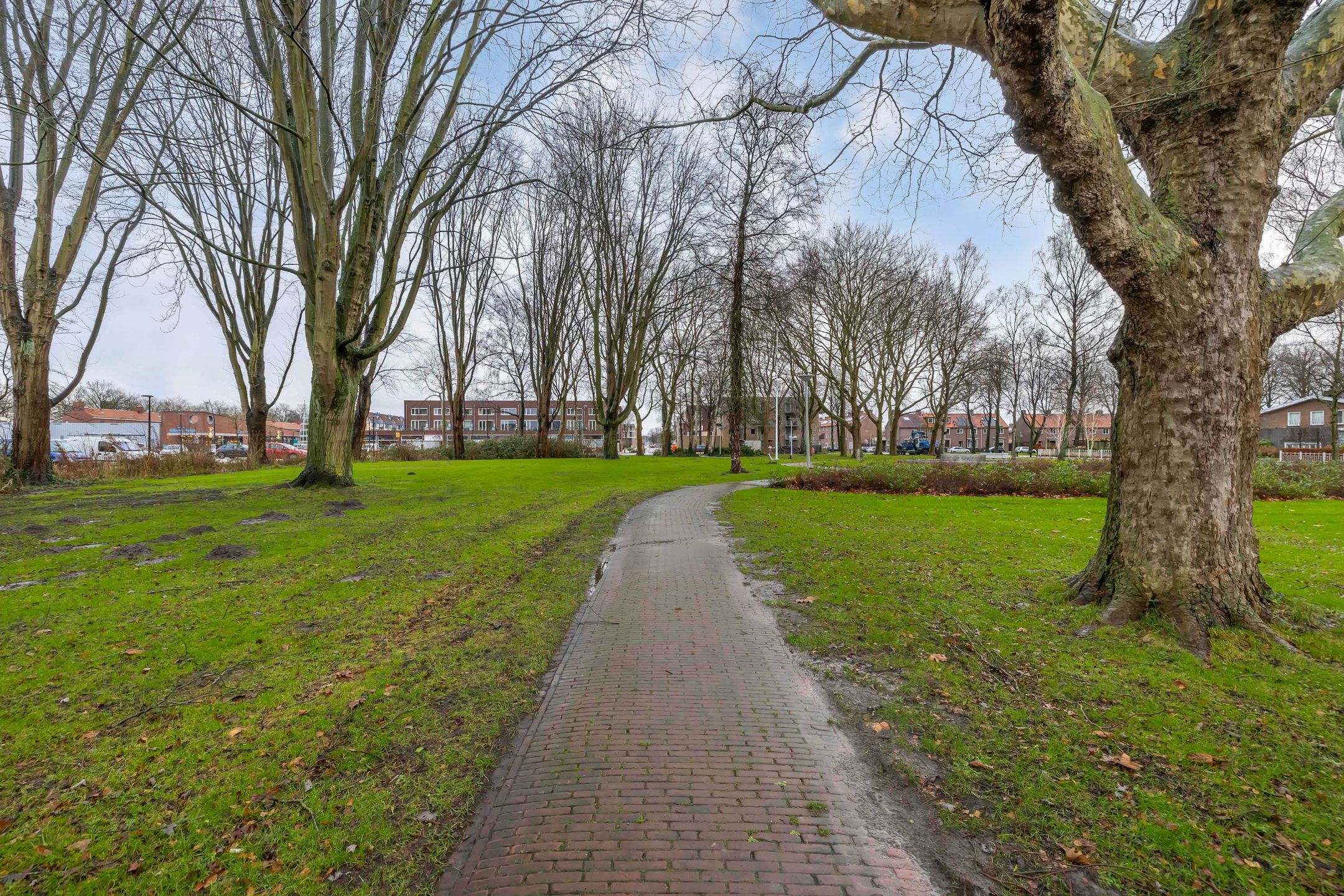 Foto 6 van Prof. Granpré Molièrelaan 4