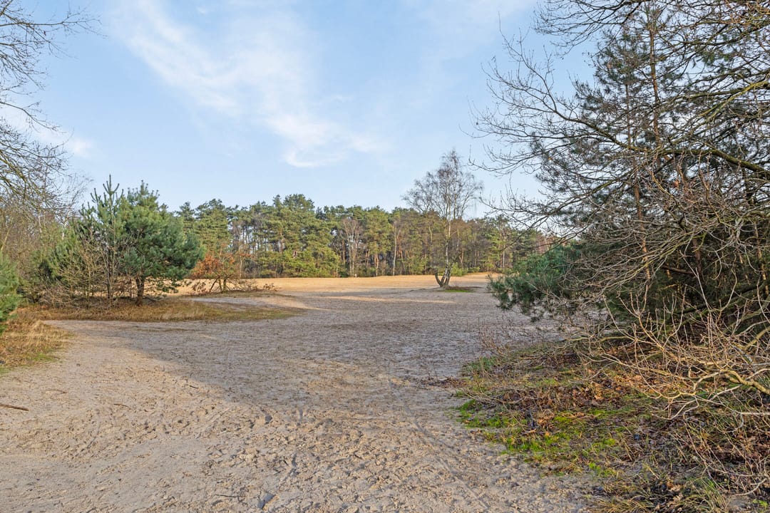 Foto 46 van Zandstraat 11