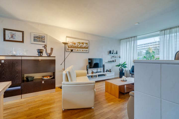 Foto 8 van De Wittenhagen 93