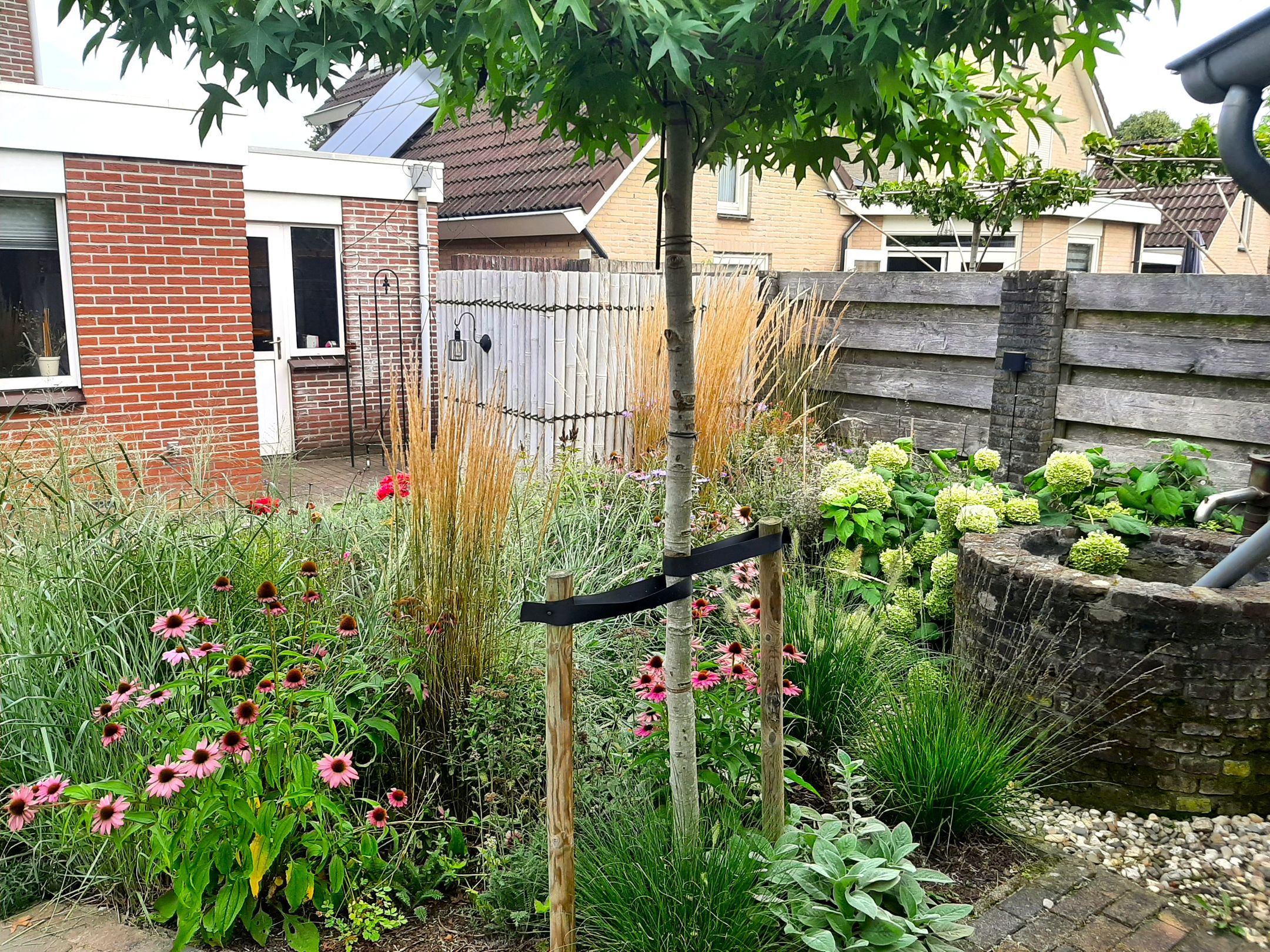 Photo 33 of Sniedersweide 83