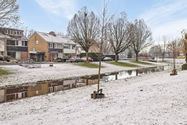 Foto 39 van Dr. de Brouwerstraat 22