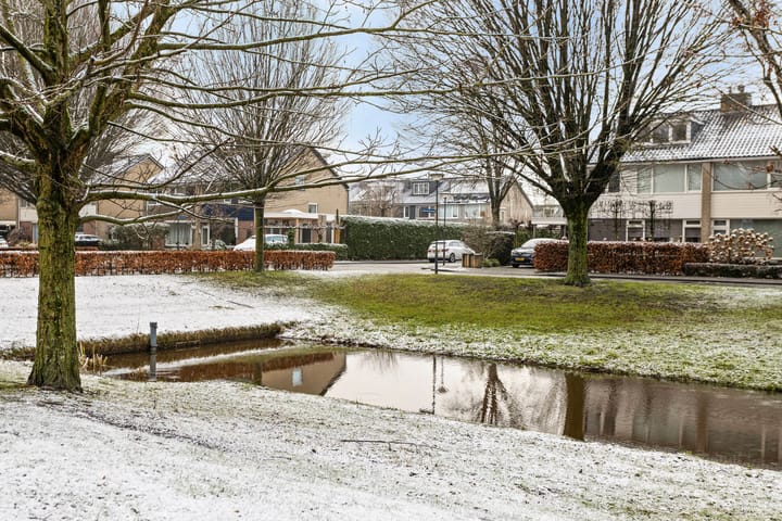 Foto 40 van Dr. de Brouwerstraat 22