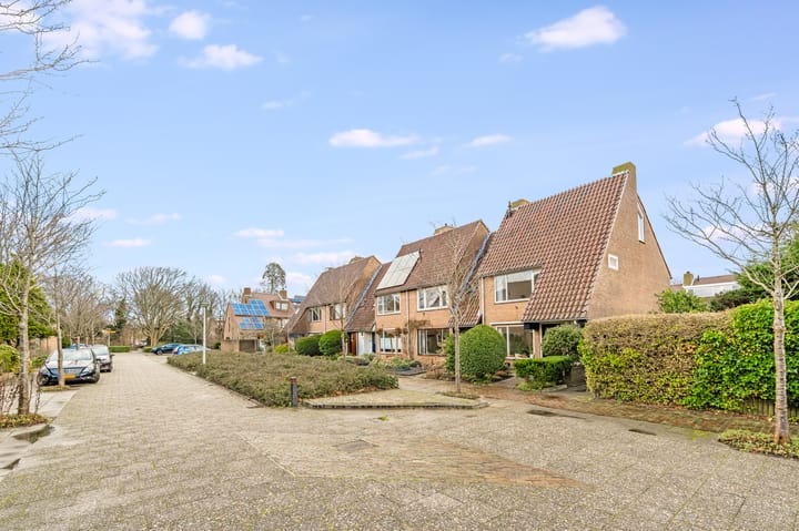 Foto 5 van Vleugeltjesbloem 2