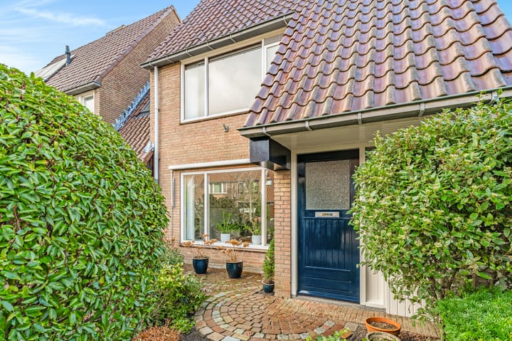 Foto 6 van Vleugeltjesbloem 2